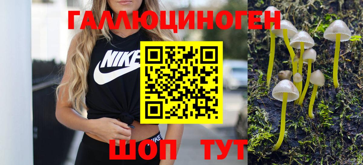 Галлюциногенные грибы Psilocybine cubensis Моздок